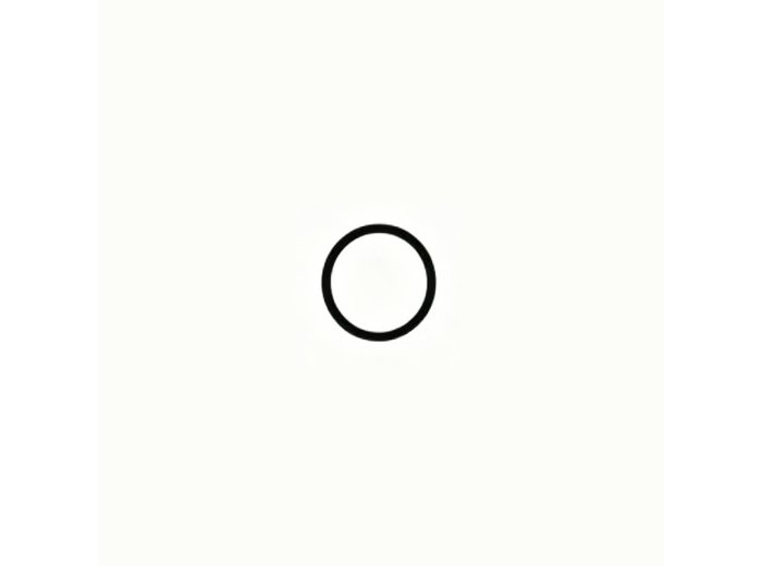 Genuine MWM 01183029 O-Seal XBAZA (Suitable for TCG 2016 Engines)