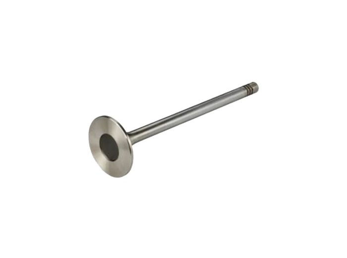Genuine MWM 12319916 OEM Exhaust Valve XBAZA (For TCG 2016 Engines)