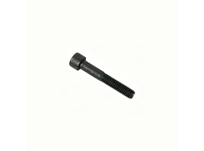 Genuine MWM 12277744 OEM Cheese Head Screw (Suitable for TCG 2016 Engines)