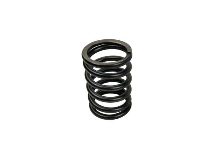Genuine MWM 01222051 OEM Compression Spring (XBAZA) for TCG 2016 Engines