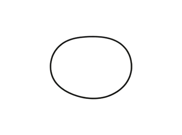Genuine MWM 01153857 O-Seal XBAZA (For TCG 2016 Engines)