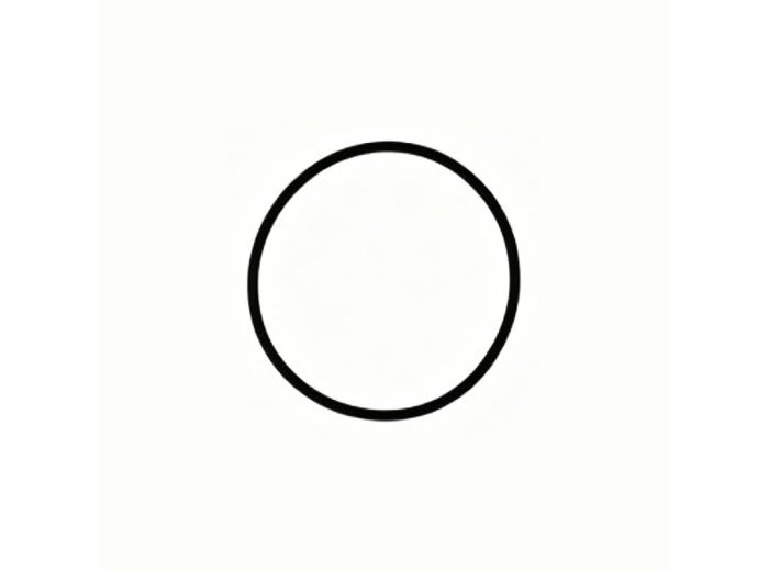 Genuine MWM 06214769 O-Seal XBAZA (Replaced by 12524093)