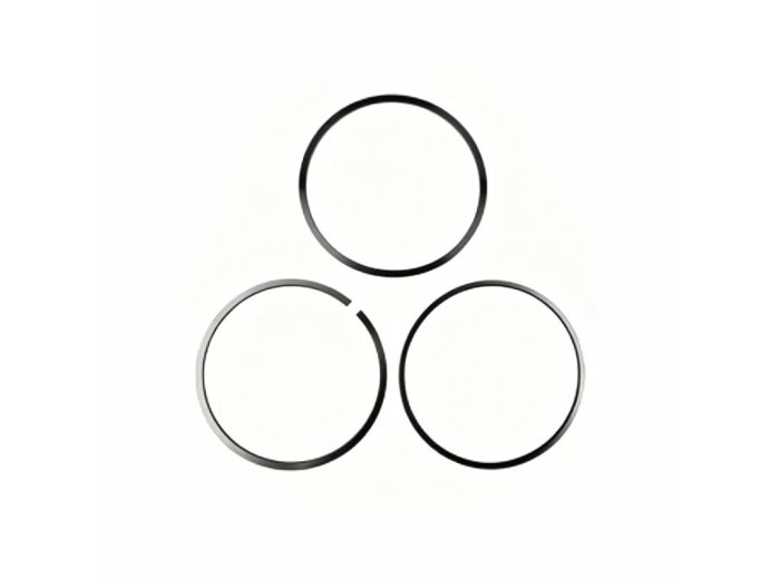 Genuine MWM 12216095 OEM Piston Rings Set (XBAZA- for TCG 2020 Engines)