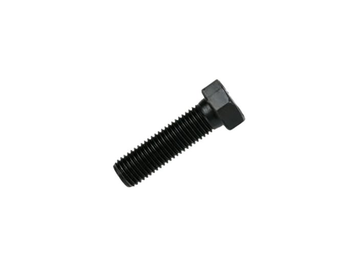 Genuine MWM 01143189 OEM Hexagon Bolt (Suitable for Various MWM Engines)
