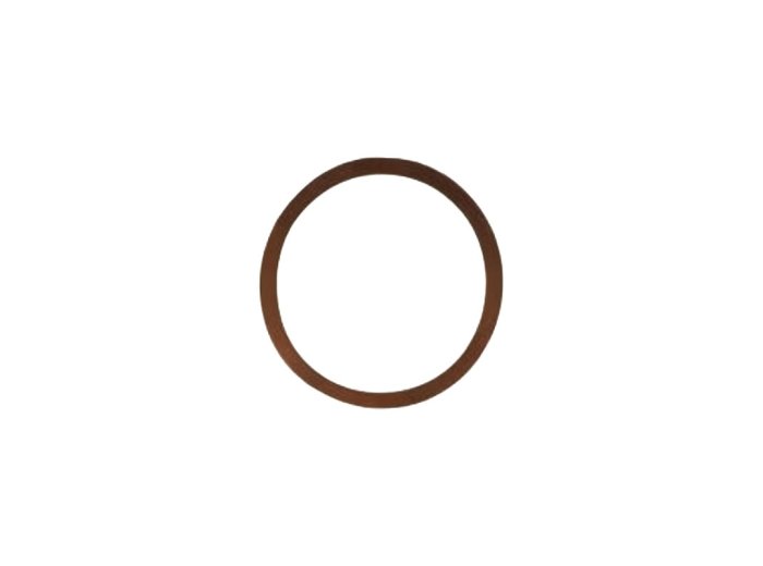 Genuine MWM 01124011 OEM Sealing Ring (Suitable for TCG 2020 Engines)