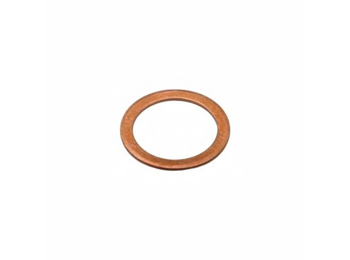 Genuine MWM 01118718 OEM Sealing Ring (Suitable for TCG & TBD Series)