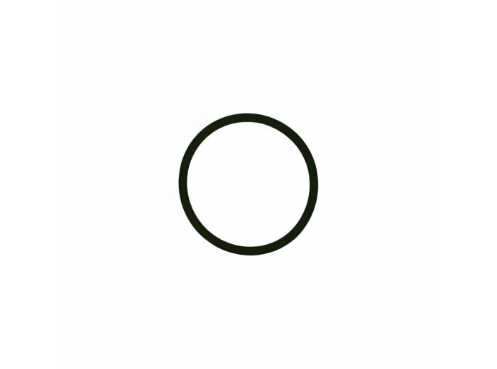 Round Sealing Ring for MWM ZBG 620 Engines - 01153829