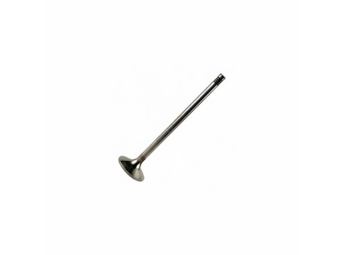 Exhaust Valve for MWM TBG 620 Engines | OEM 12141699