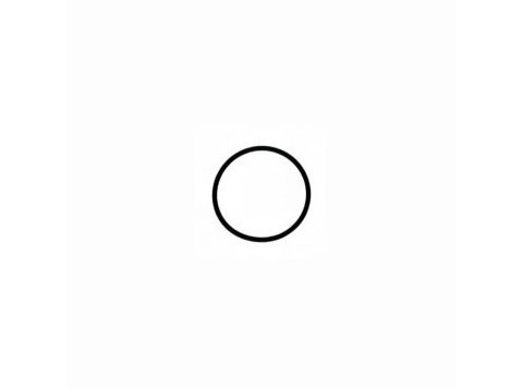 Genuine MWM 01177727 O-Seal XBAZA (Suitable for TCG 2020 Engines)
