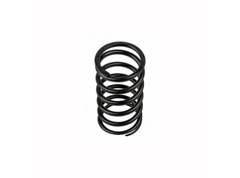 Genuine MWM 01222009 Compression Spring XBAZA (For TCG 2016 Engines)