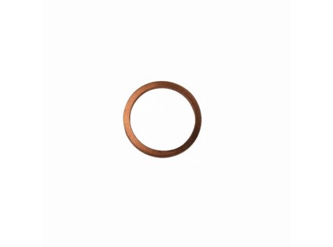 Genuine MWM 01118645 Sealing Ring XBAZA
