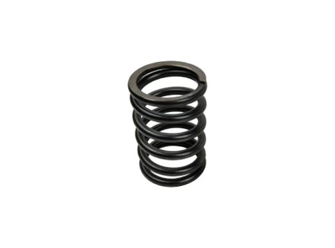 Genuine MWM 01222051 OEM Compression Spring (XBAZA) for TCG 2016 Engines