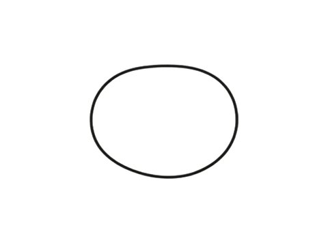 Genuine MWM 01153857 O-Seal XBAZA (For TCG 2016 Engines)