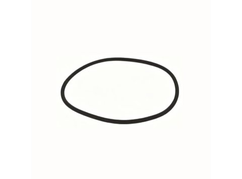 Genuine MWM 01183300 Round Sealing Ring XBAZA