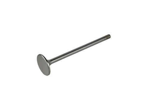 Genuine MWM 12452424 Exhaust Valve XBAZA (Replaced by 12454246) for TCG 2020 Engines