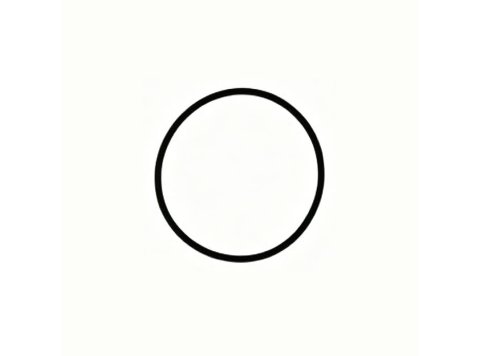 Genuine MWM 06214769 O-Seal XBAZA (Replaced by 12524093)