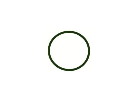Genuine MWM 12128846 O-Seal XBAZA (For TCG 2020 Gas Engines)