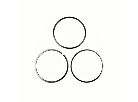 Genuine MWM 12216095 OEM Piston Rings Set (XBAZA- for TCG 2020 Engines)