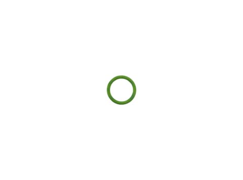 Genuine MWM 01212509 O-Seal XBAZA (For TCG 2020 & TCG 2032 Engines)
