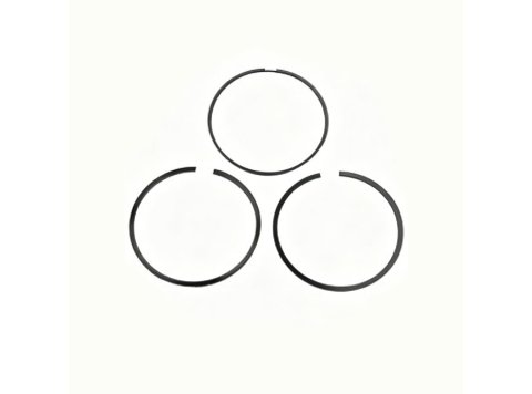 Genuine MWM 12213242 OEM Set of Piston Rings XBAZA (for TBG 616 / TCG 2016)