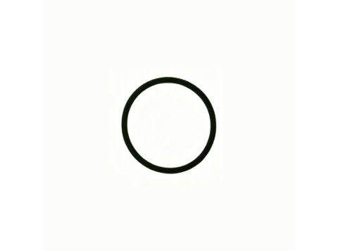 Genuine MWM 01153838 OEM O-Seal for Coolant Pipe (TCG 2016)
