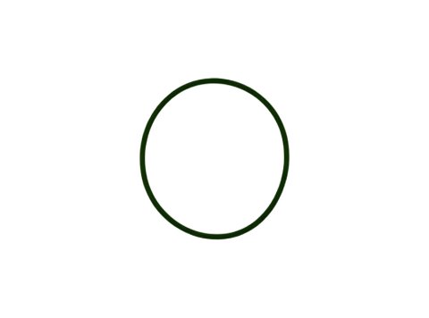 Genuine MWM 01153807 OEM O-Ring / Runddichtring XBAZA (Replaced by 12523985)