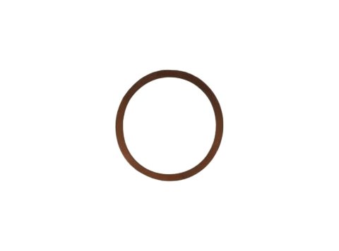 Genuine MWM 01124011 OEM Sealing Ring (Suitable for TCG 2020 Engines)