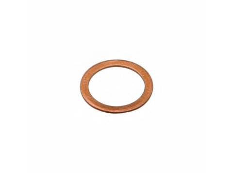 Genuine MWM 01118718 OEM Sealing Ring (Suitable for TCG & TBD Series)