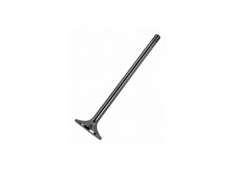 Exhaust Valve XBAZA for MWM TBG 620 Engines - 12301786