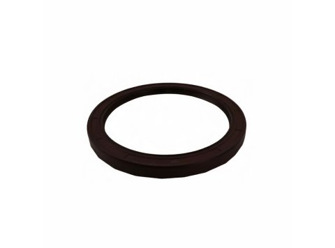 Rotary Shaft Lip Seal 12319931 for MWM TCG 2016 Engines (Replaces 12152293)