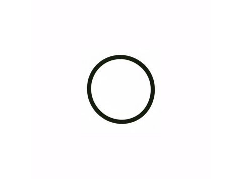 Round Sealing Ring for MWM ZBG 620 Engines - 01153829