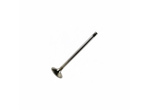 Exhaust Valve for MWM TBG 620 Engines | OEM 12141699