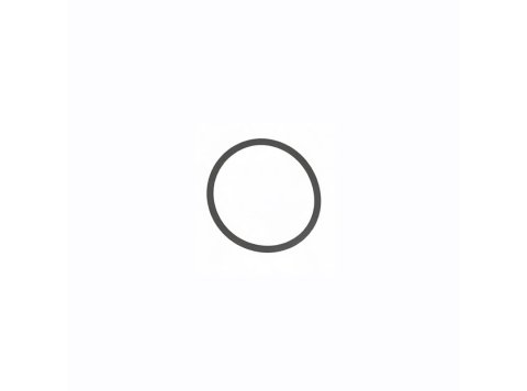O-Ring for MWM Engines - 12524030 (Replacement for 01180367)