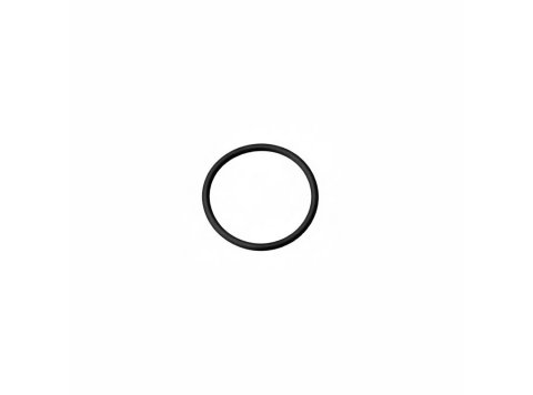 Round Sealing Ring XBAZA - MWM 12523980 for TCG 2020 & TCG 2032 Engines