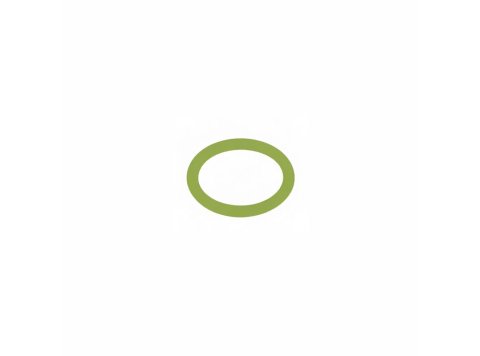 Round Sealing Ring for MWM Engines - OEM 01153862 (0115 3862)