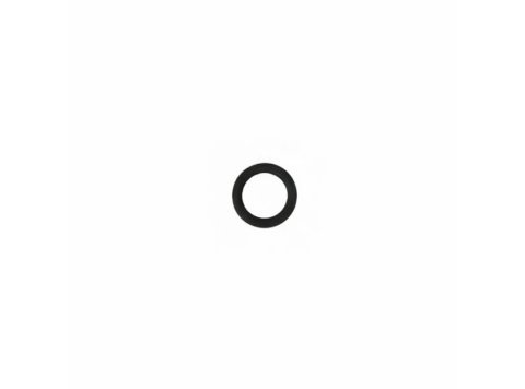 Round Sealing Ring MWM 12524000 for TCG 2032 Engines
