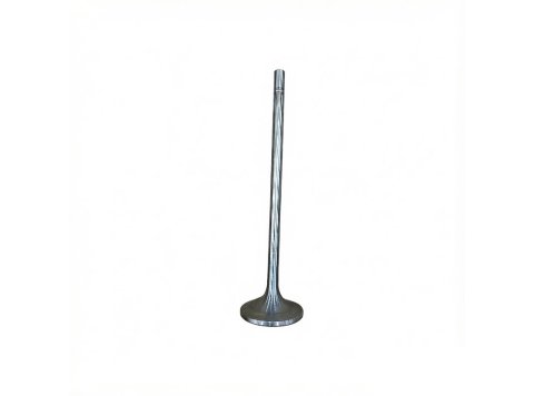 Exhaust Valve 3074641 for CAT G3500 Gas Engine (G3516, G3520C, G3520E)