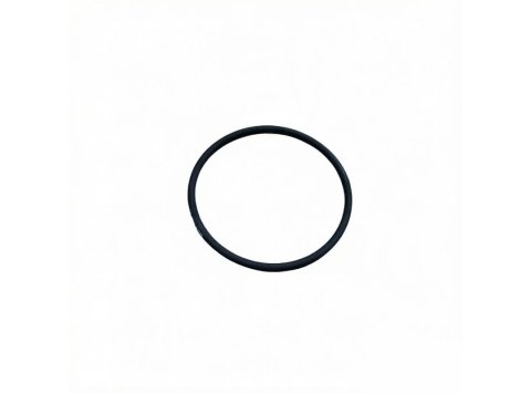 Cat G3520C Gas Engine Spare Parts O-Ring | Part No. 033-6031 0336031