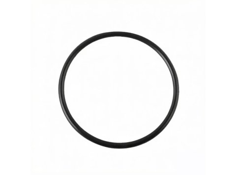 OEM Quality Seal O-Ring 219-7000 for Caterpillar G3508 G3512 G3516 G3520 Gas Engines