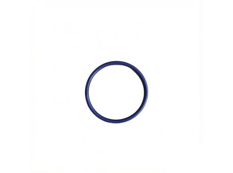 OEM Quality Engine O-Ring Seal 6V-5066 for Caterpillar G3508 G3512 G3516 G3520 Gas Engines