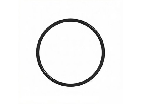 OEM Quality Engine O-Ring Seal 6J-2244 for Caterpillar G3508 G3512 G3516 G3520 Gas Engines