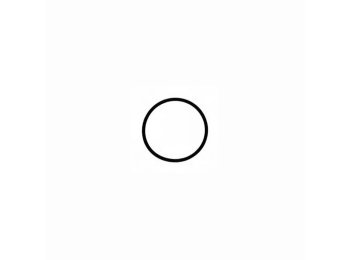 Genuine MWM 01177727 O-Seal XBAZA (Suitable for TCG 2020 Engines)