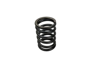 Genuine MWM 01222051 OEM Compression Spring (XBAZA) for TCG 2016 Engines