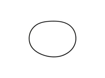 Genuine MWM 01153857 O-Seal XBAZA (For TCG 2016 Engines)
