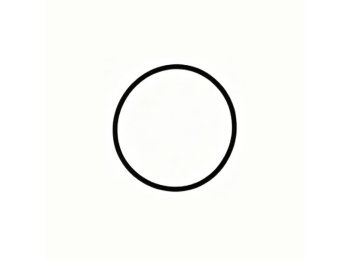 Genuine MWM 06214769 O-Seal XBAZA (Replaced by 12524093)