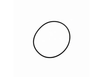 Genuine MWM 01174503 O-Seal XBAZA (For TCG 2020 Engines)