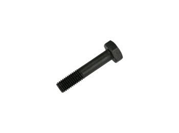 Genuine MWM 12030750 OEM Screw (Suitable for TBD 620 & TCG 2020)