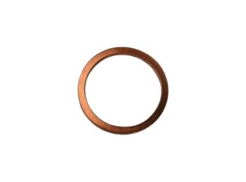 Genuine MWM 01102146 Sealing Ring (XBAZA)