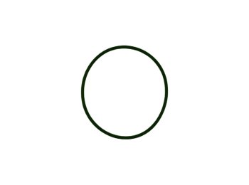MWM 01176819 OEM O-Seal XBAZA | Genuine Gas Engine Parts