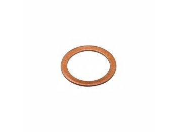 Genuine MWM 01118718 OEM Sealing Ring (Suitable for TCG & TBD Series)